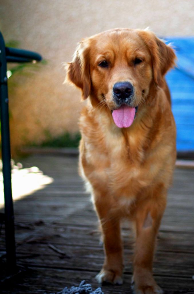 Together for ever clara A Star Is Born